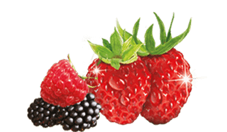 Air Wick Fruity Fragrances